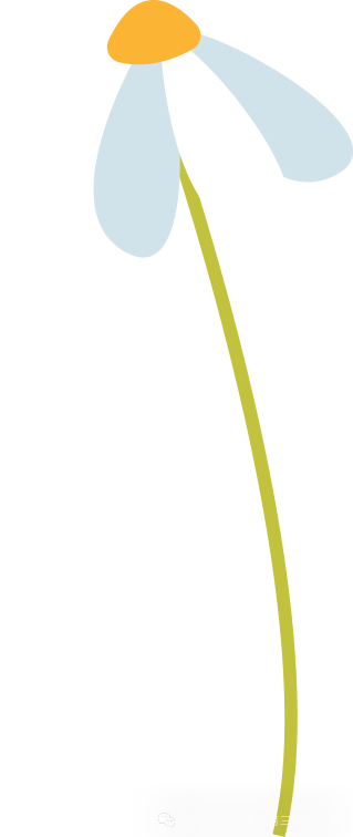 _2