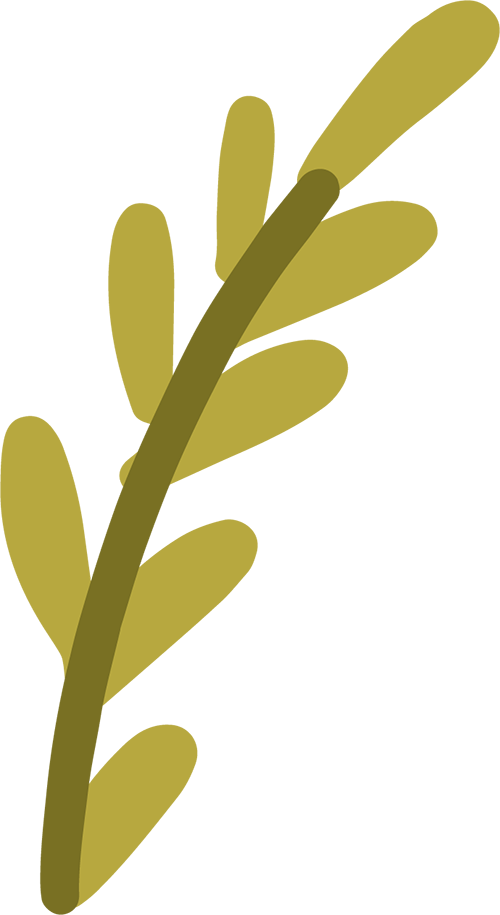 _2